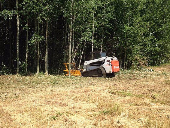 Brush Cutting and Land Clearing | Whatcom Lawns | Bellingham, WA